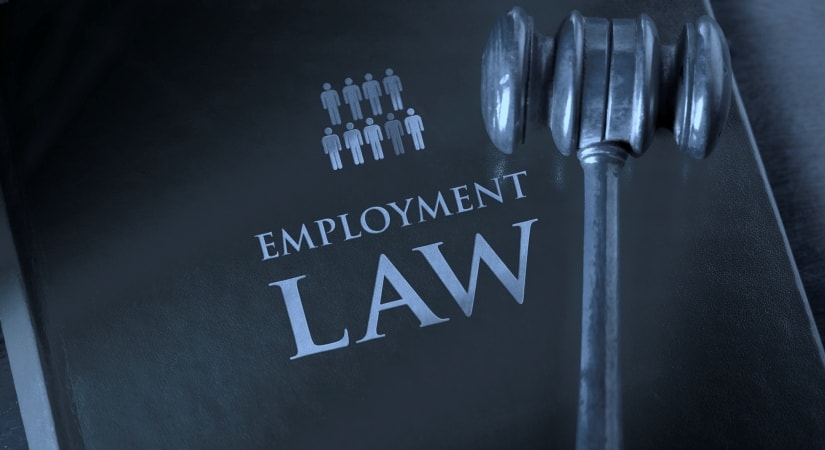 employment Law dissertation topics
